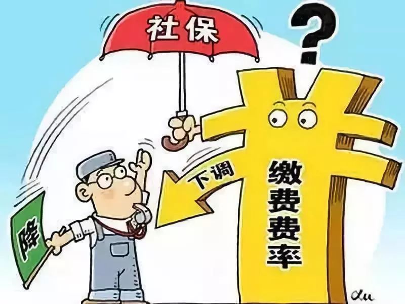 關于信訪最新規(guī)定的步驟指南解析